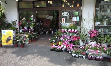「尾崎花園」　（岐阜県岐阜市）の花屋店舗写真3