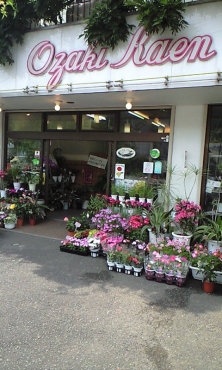 「尾崎花園」　（岐阜県岐阜市）の花屋店舗写真2